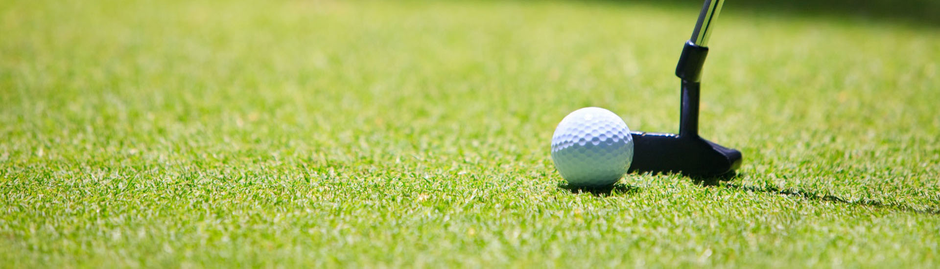 Artificial Grass for Golf, Golf Turf
